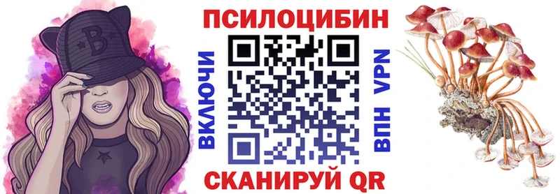 Псилоцибиновые грибы Cubensis что такое OMG ТОР Беломорск